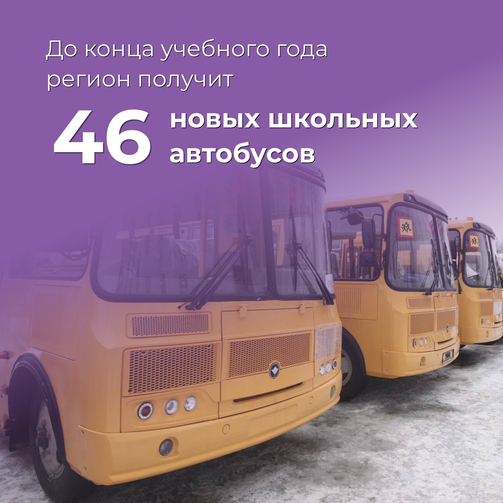 До конца учебного года регион получит 46 новых школьных автобусов.